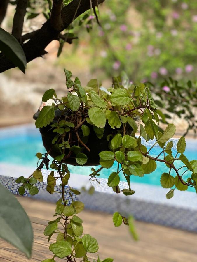 Hotel Boutique Hacienda Guadalupe San Miguel de Allende Eksteriør billede