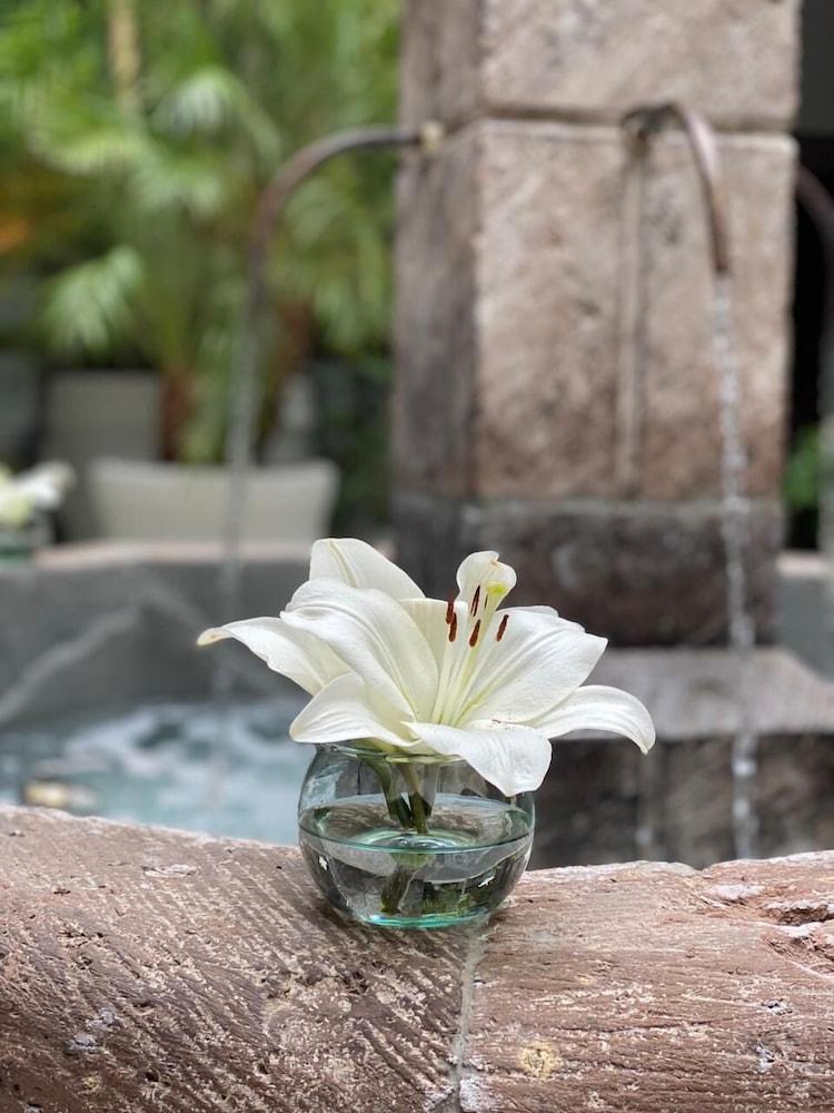 Hotel Boutique Hacienda Guadalupe San Miguel de Allende Eksteriør billede